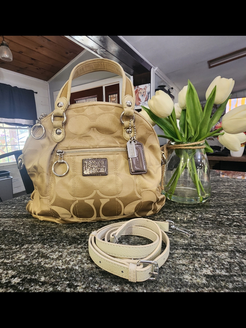 Coach Poppy Sateen Signature Shoulder Bag with Detachable Strap